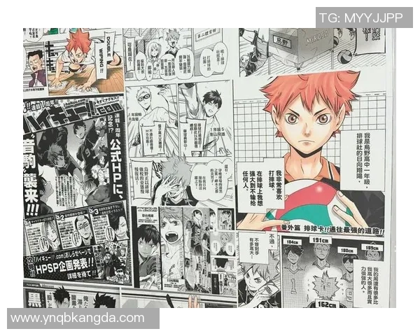 从零开始：排球意识完全攻略