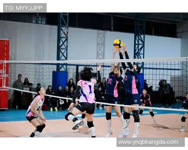 排球巨献：探秘成都排球队的实力