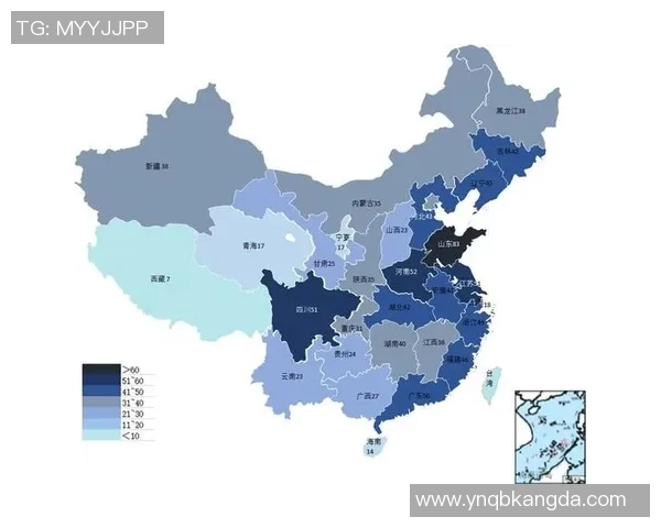 独家分析：武汉排球队的技术对比