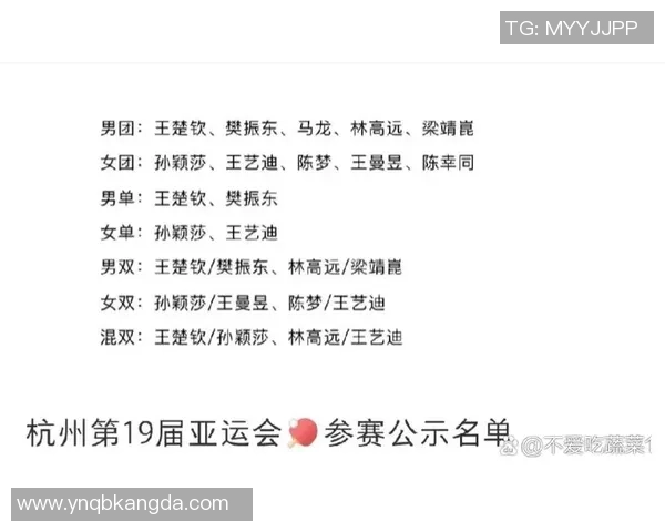 2026羽毛球状态排名：杭州羽毛球队创新高