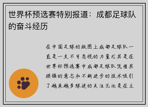 世界杯预选赛特别报道：成都足球队的奋斗经历