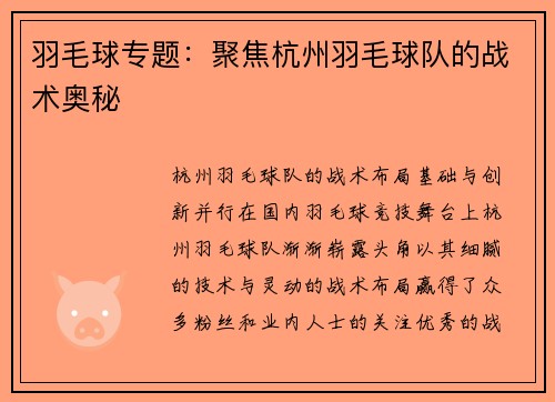 羽毛球专题：聚焦杭州羽毛球队的战术奥秘
