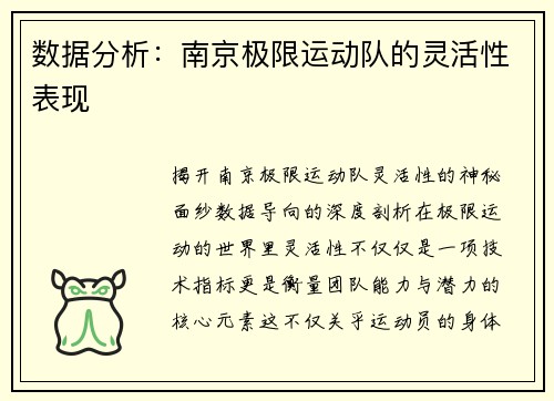 数据分析：南京极限运动队的灵活性表现