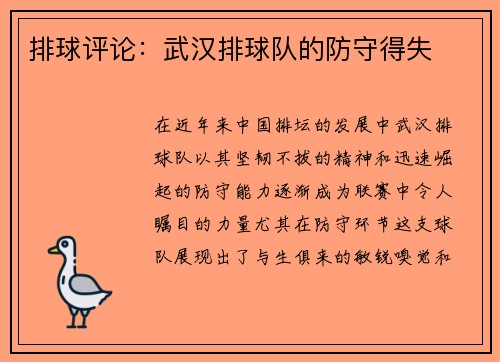 排球评论：武汉排球队的防守得失
